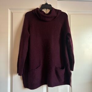 Kaari Blue Burgundy Cowl Neck Sweater Tunic